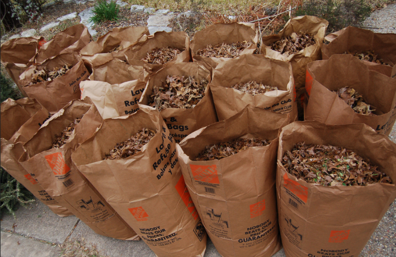 Properly Bagged Leaves