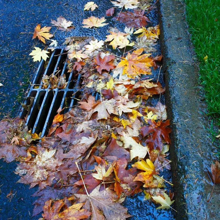 Keep Drains clear