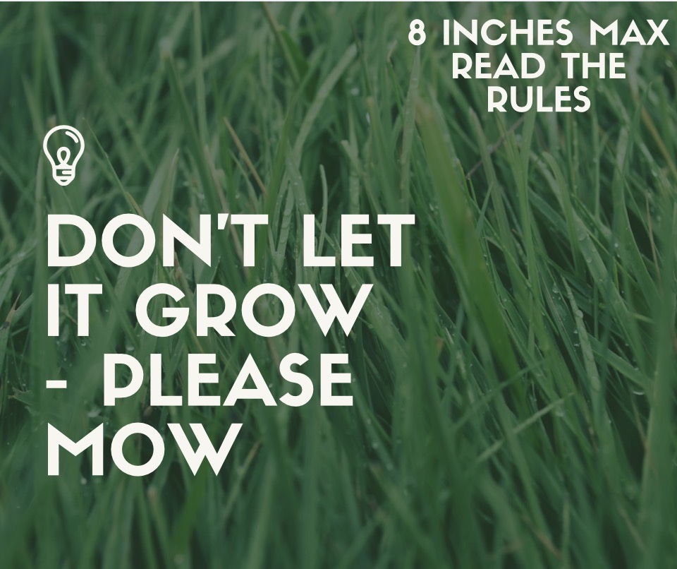 Don’t let it grow mow